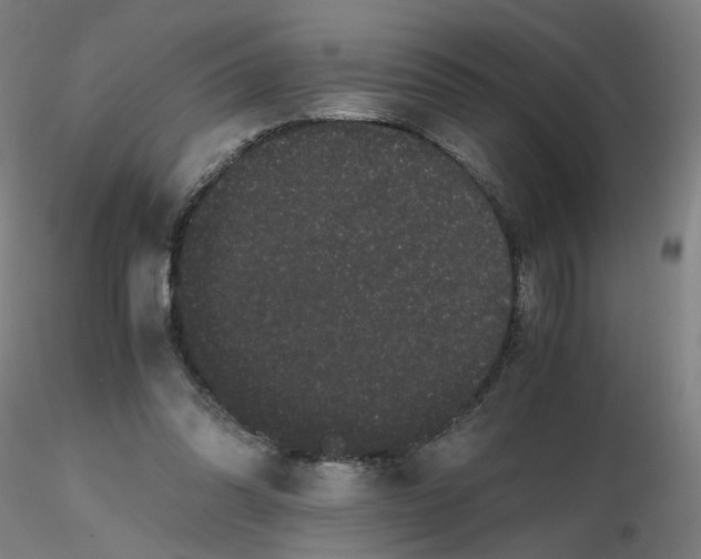 X0000116480302200912231136