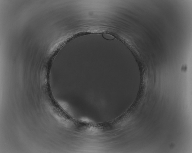 X0000116480303200912231136