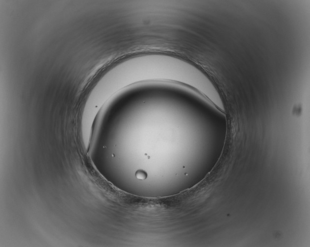 X0000116480304200912231136