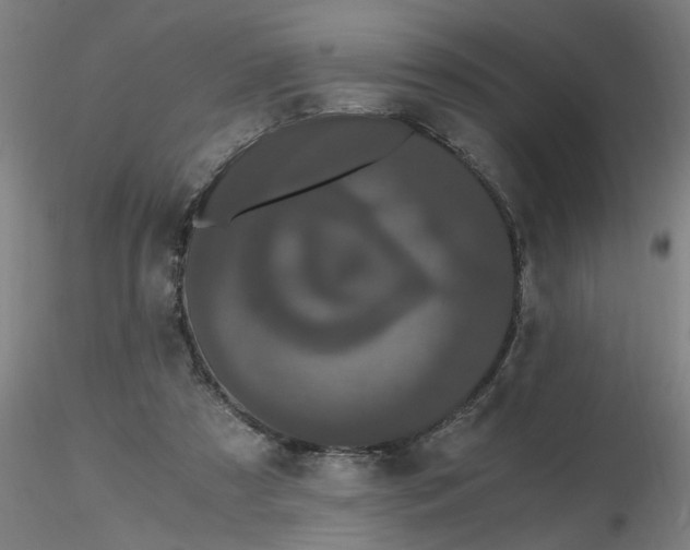 X0000116480305200912231136