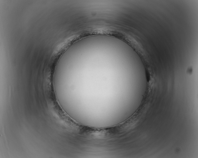 X0000116480306200912231136