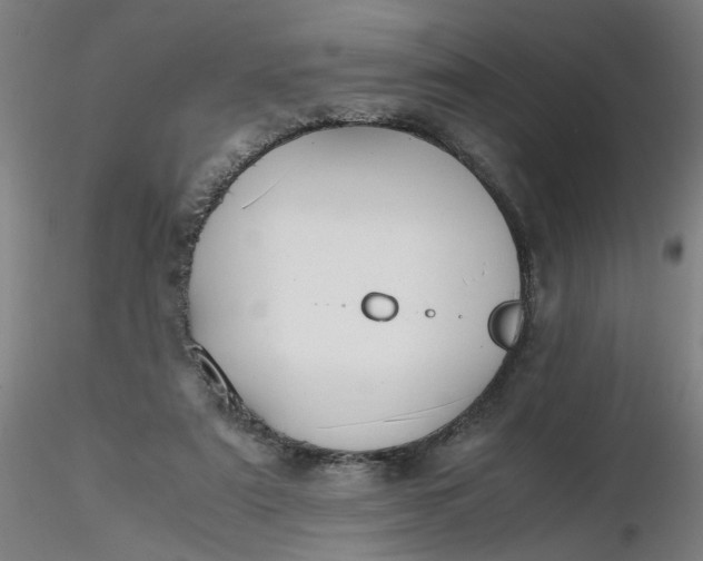 X0000116480307200912231136