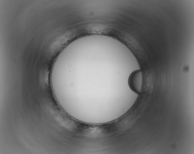 X0000116480310200912231136