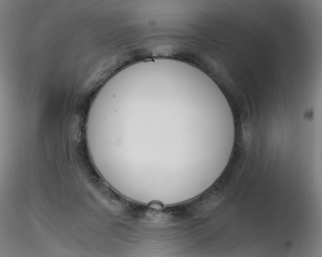 X0000116480311200912231136