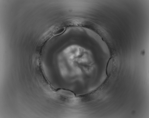 X0000116480313200912231136