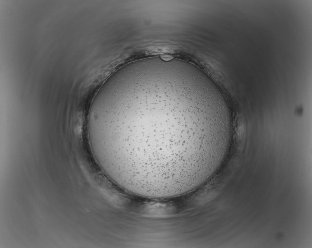 X0000116480315200912231136