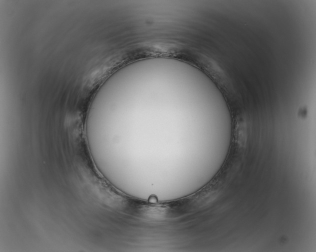 X0000116480318200912231136