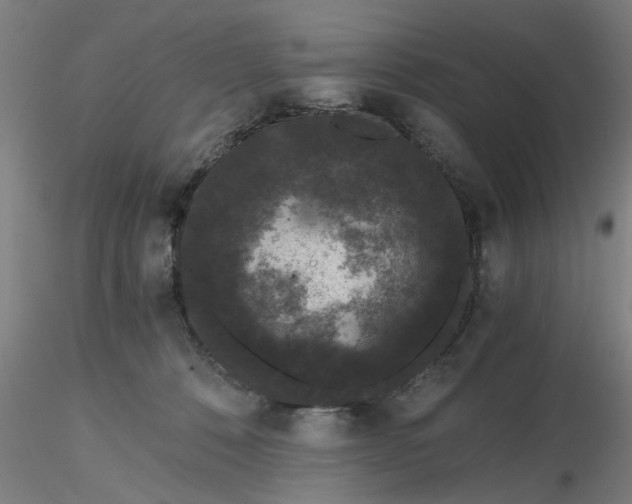 X0000116480320200912231136