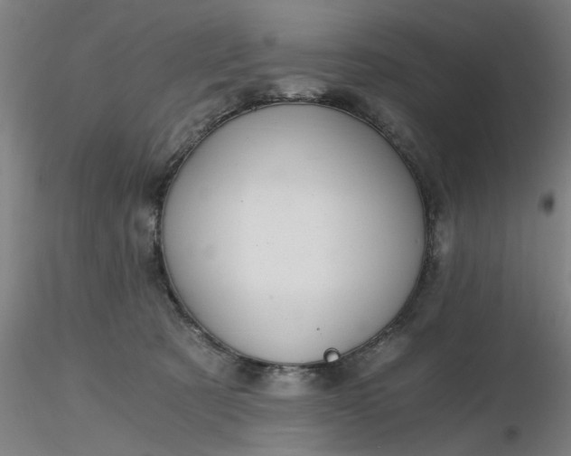 X0000116480321200912231136