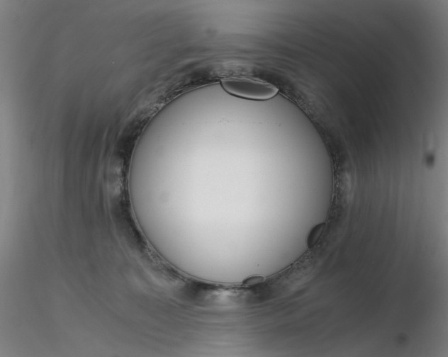 X0000116480323200912231136