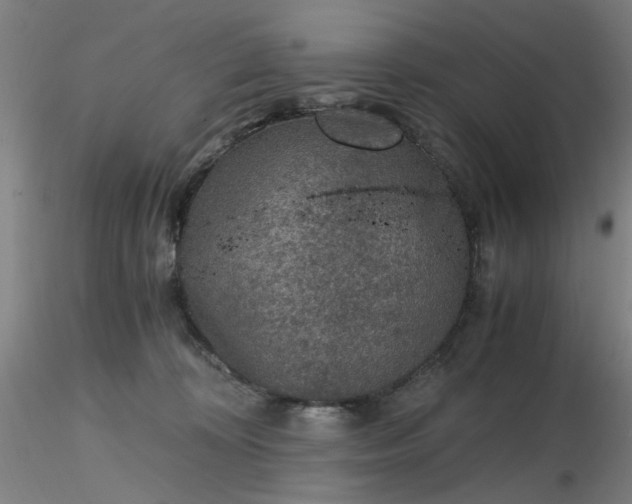 X0000116480324200912231136