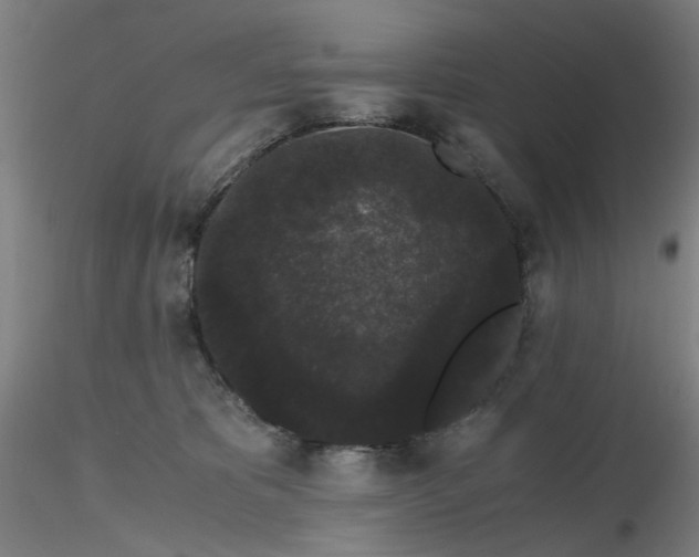 X0000116480325200912231136