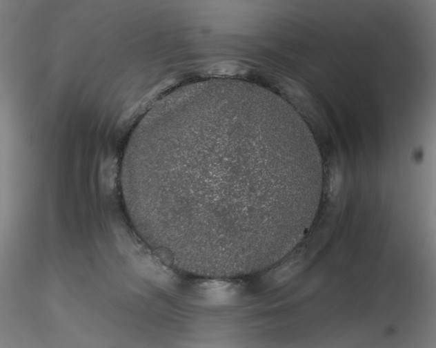 X0000116480326200912231136