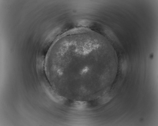 X0000116480328200912231136