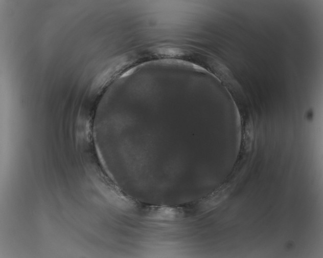 X0000116480330200912231136