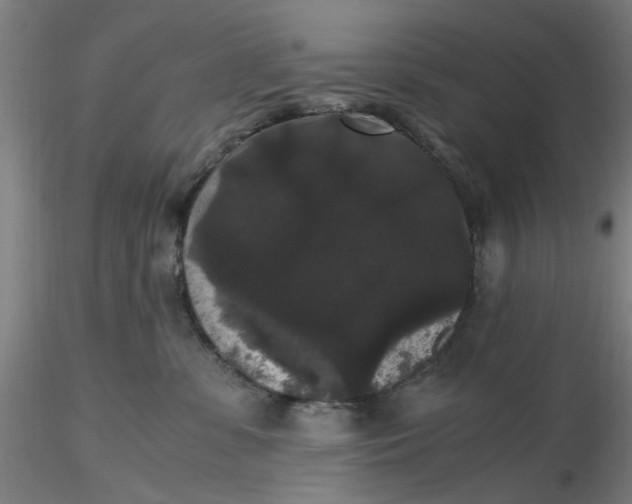 X0000116480331200912231136