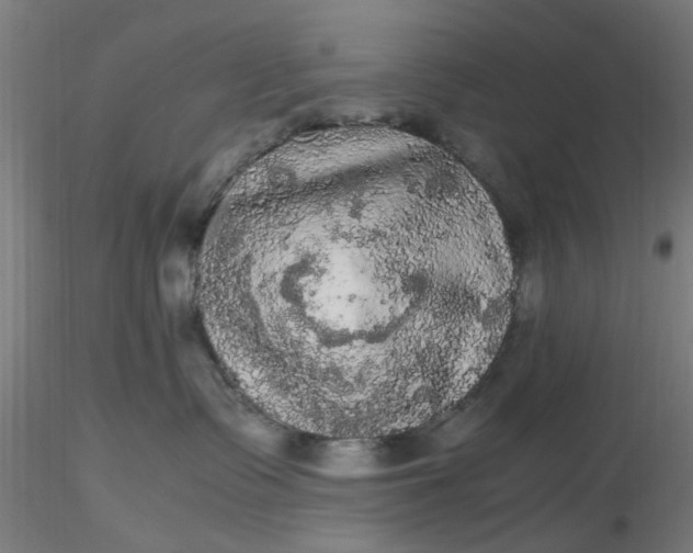 X0000116480335200912231136