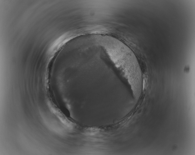 X0000116480339200912231135