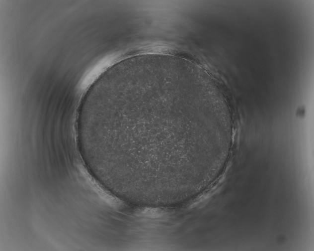 X0000116480341200912231135