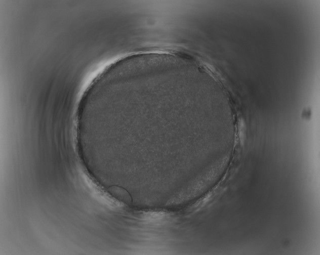 X0000116480342200912231135