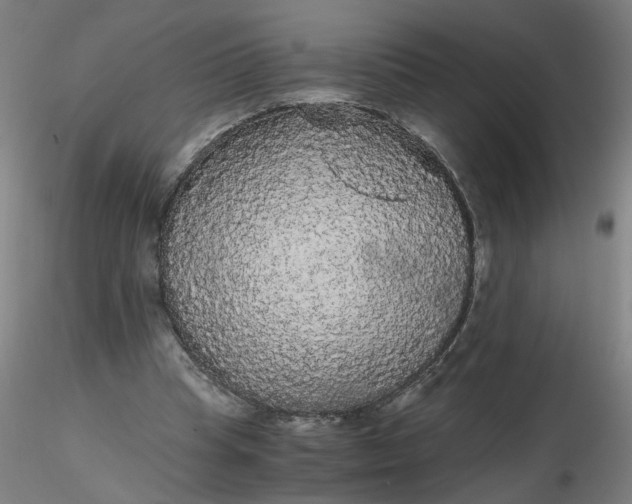 X0000116480345200912231135