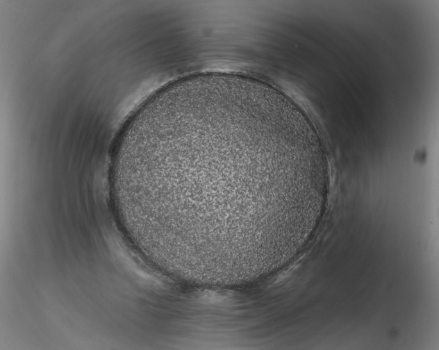 X0000116480346200912231135