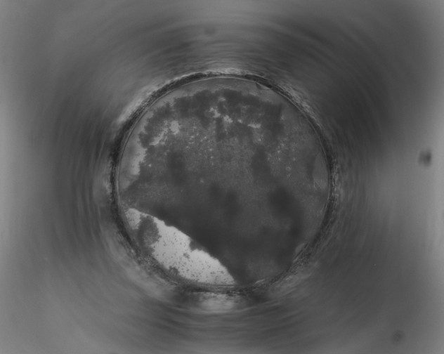 X0000116480347200912231135