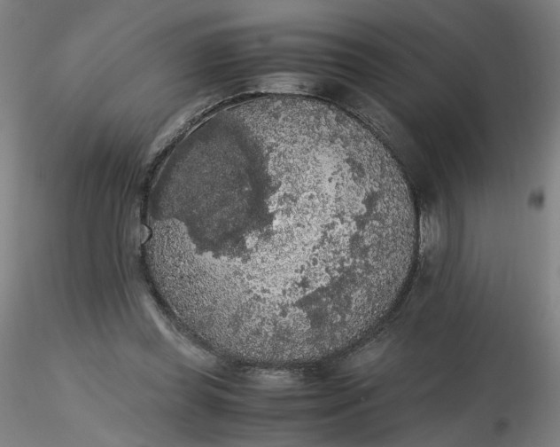 X0000116480349200912231135