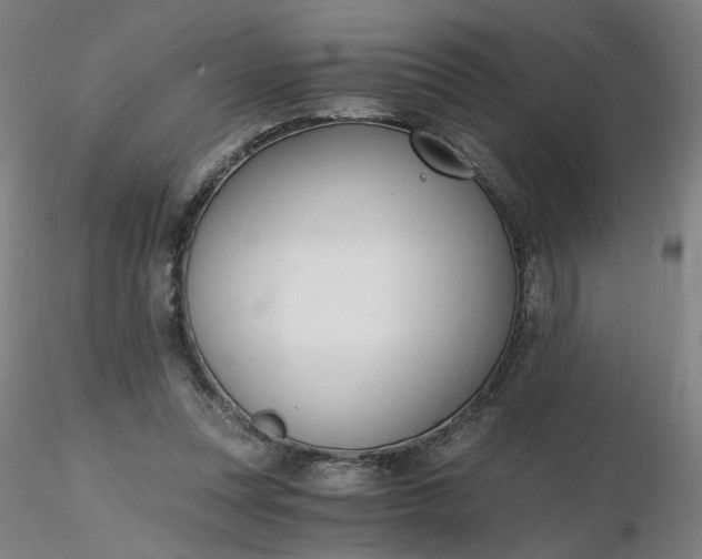 X0000116480351200912231135