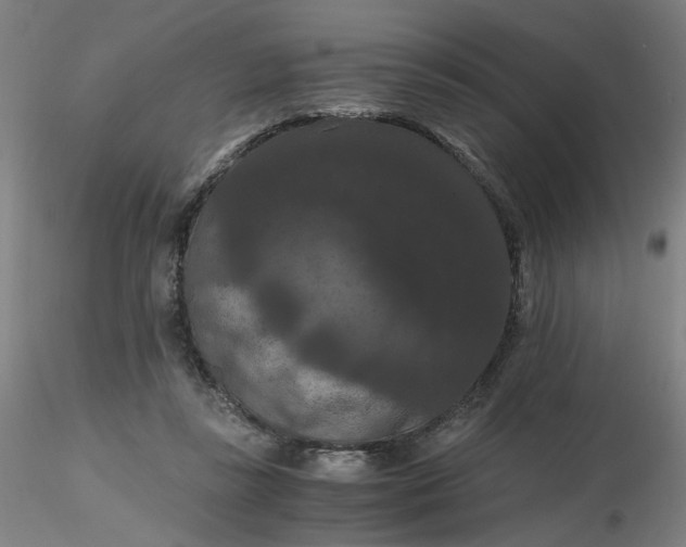 X0000116480355200912231135