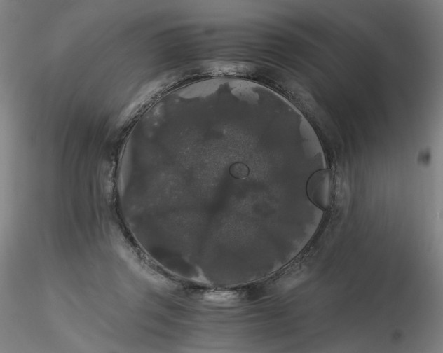 X0000116480357200912231135