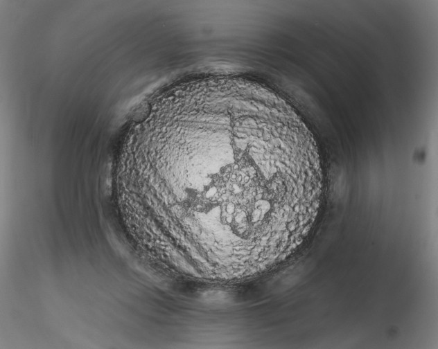 X0000116480358200912231135