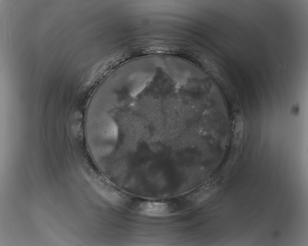 X0000116480361200912231135