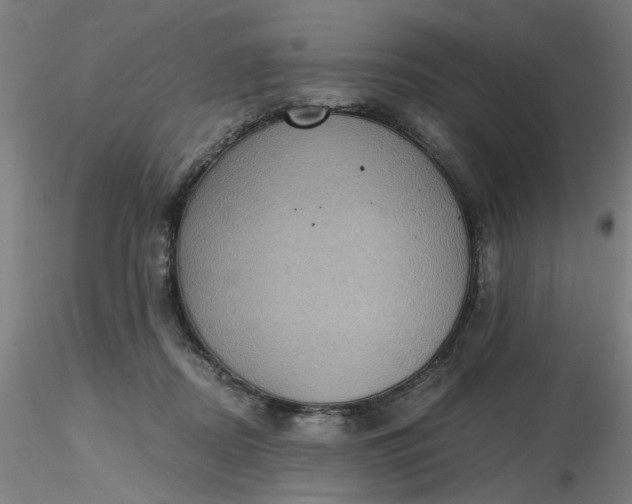 X0000116480362200912231135