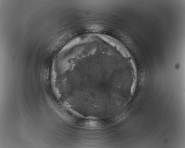 X0000116480365200912231135