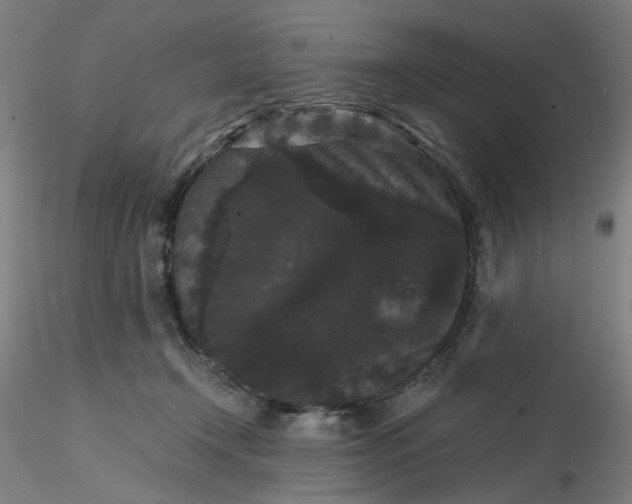 X0000116480366200912231135