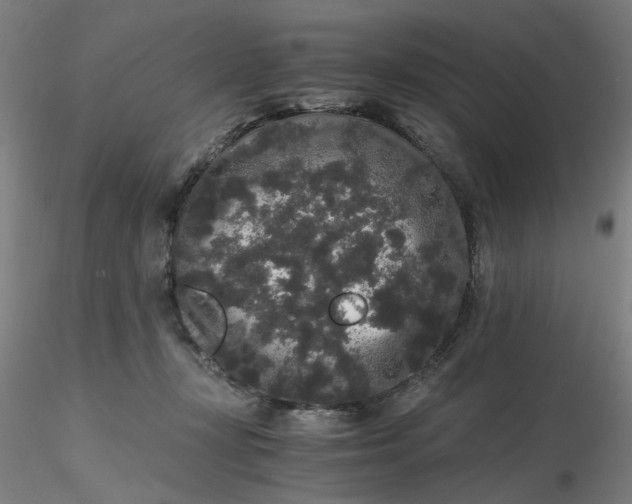 X0000116480367200912231135