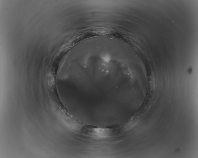 X0000116480371200912231135