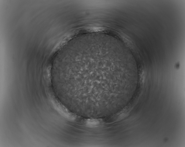 X0000116480373200912231135