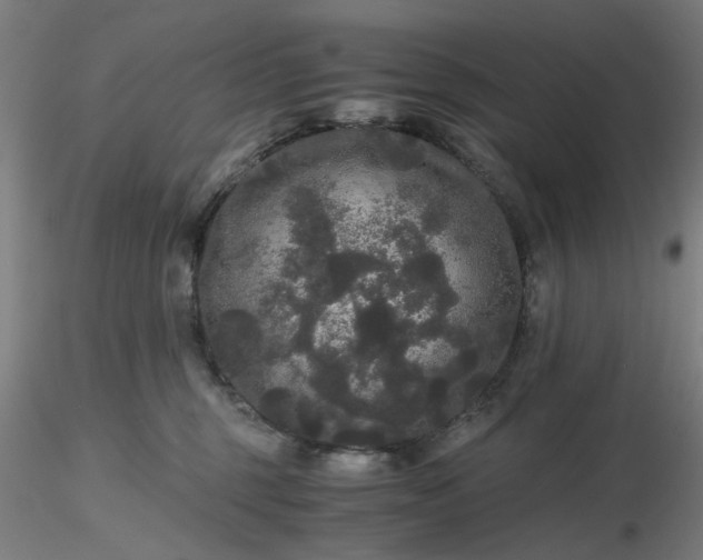 X0000116480375200912231135