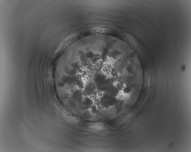 X0000116480377200912231135