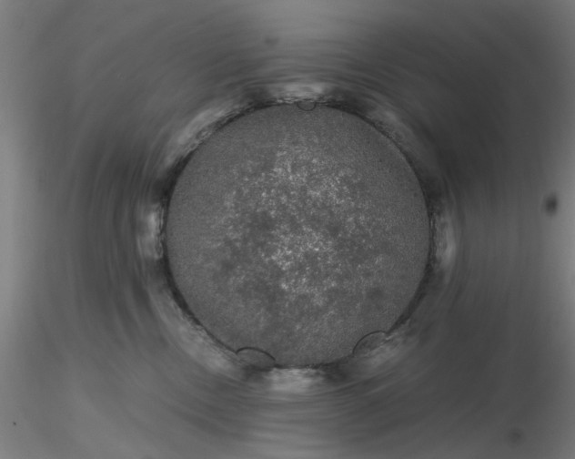 X0000116480378200912231135