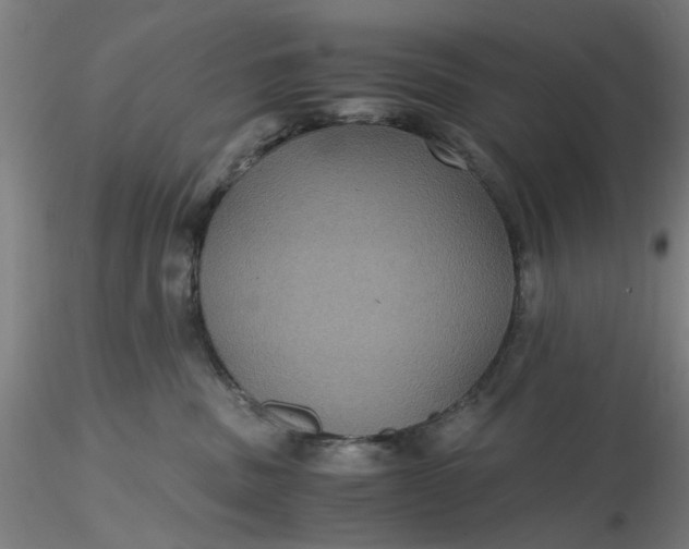 X0000116480379200912231135