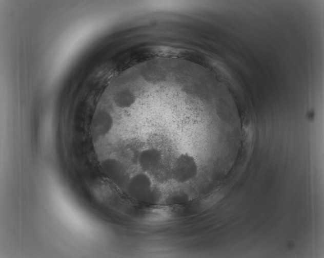 X0000116480381200912231135