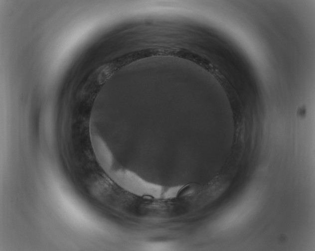 X0000116480383200912231136