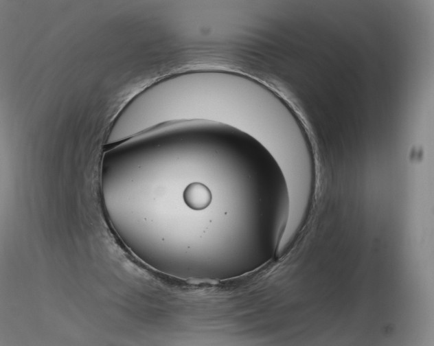 X0000116480385200912231135