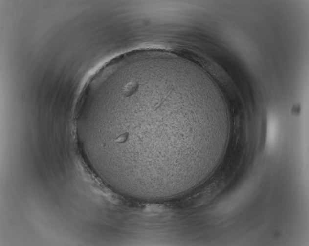 X0000116480388200912231135