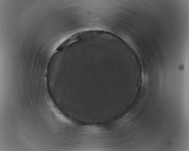 X0000116480389200912231135