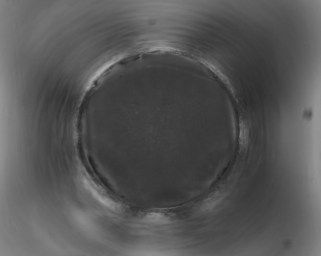 X0000116480390200912231135