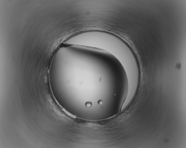 X0000116480393200912231135